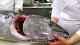 金枪鱼眼睛你敢吃吗？风靡日本的火爆美食，生吃最美味