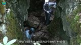 神秘山洞惊现千年巨棺蛟龙盘旋守护专家撬开棺盖吓出冷汗