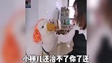 小孩儿：你瞅啥呢？羊驼：瞅你咋的？呸！