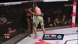 UFC-14年-UFC Fight Night 56：C席尔瓦vs爱德华兹集锦-精华