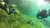 带你潜入最美的湖底——奥地利的绿湖 由阿尔卑斯山雪水融化而形成的美丽湖泊