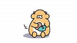 05集：谁说人都是喜新厌旧的？说的没错！