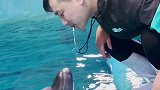 抖到蓬莱八仙过海 小海豚的粉丝们 今晚19:30，直播间等你们呦