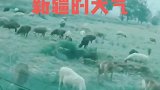 新疆天气就是这么任性