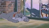 猫和老鼠：确保狗哥被拴住，汤姆调侃狗哥，气得狗哥汪汪叫