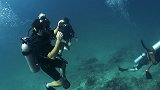 中国游客菲律宾潜水时气瓶被潜水员关闭 对方称开玩笑