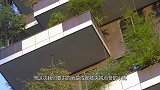 成都这个小区被央视点赞！30层楼高的“花墙”，像住在空中森林