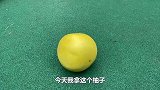 主人把小仓鼠的柚子房给弄倒了，小仓鼠生气要离家出走，搞笑