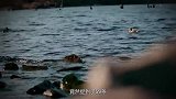 喀纳斯湖发现巨型“水怪”，科学家捕捉两个月，捉到了59条！