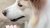 短短一段路就遇到五六波粉丝，对于社恐的人来说略显尴尬