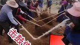 想不到这么小的活竟然能用这么多人
