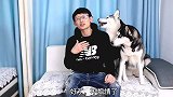 养狗的男孩为什么没有女生喜欢呢？