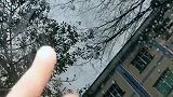 这么冷的天，再不学玻璃都要爆了。