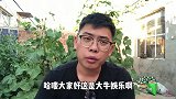 谢霆锋娶张柏芝时候，狄波拉哭了整整7天，张柏芝端茶认错求原谅