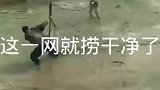 这一网就把河里的鱼捞干净了