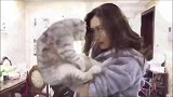 狸花猫：你嗨任你嗨，我发我的呆，互不干扰！