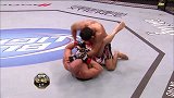UFC-15年-UFC190自由格斗：小诺盖拉vs奥蒂兹-专题