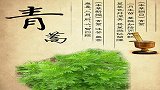 中医科学院:屠呦呦新研究系进展 而非重大突破