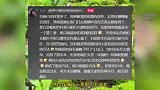 男子路遇竹叶青和五步蛇打架，竟同时被两条蛇咬伤，腿肿胀严重！