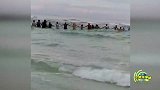 80人组成人链救回溺水一家九口 画面既惊恐又感人
