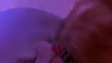 睡什么觉？都嗨起来～蹦迪猫