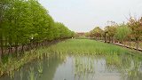 上海浦江郊野公园姚青春业余爱好拍摄