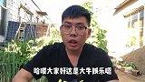 谢霆锋放弃中国国籍了？早就移民加拿大，那他还是中国人吗？