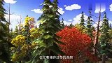 熊出没：肥肥虽然相貌平平，但脑力惊人，居然想出妙计帮助涂涂！