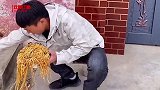 今天胃口不好就吃一点点
