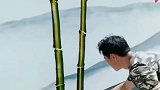 高手在民间，牛人用一把刷子就能画出栩栩如生的竹子。
