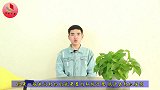 屋顶不好打扫？看看老外发明的神器，拉过去和新的一样