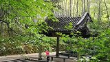 悠悠云栖径，清清洗心亭。
