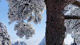 在这慌乱的一年，结尾下了一场满意的大雪，所有不愉快随着雪一起