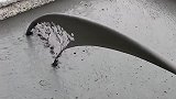 难怪工地的水泥用的快