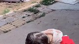 恬宝跟蚂蚁聊天，这想象力，把妈妈都给逗乐了！
