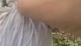 男子晒出自家种的桃子，一看比手掌还大