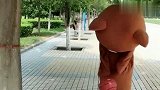网红熊欺负完路人小哥哥，撒腿就跑，实在是太坏了