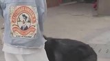主人你又可以撩妹拉