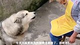 今天的节目没我行吗，没小丽还真是不行，没小丽我们的笑点怎么办