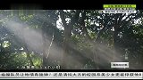 海南岛纪事-20140427-天上什寒