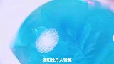 美到舍不得吃！把牡丹花装进果冻~Q弹爽滑又立体~！