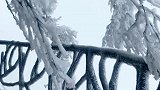 栈道上的雪景，一片白茫茫，美得不像话