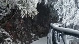 栈道上的雪景，一片白茫茫，美得不像话冬游张家界