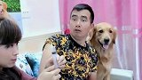 女主人要给男主人打针，男主人却不配合，金毛直接上去摁住男主人
