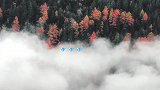 想要和你看一看北国风光