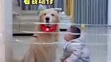 宝宝模仿障碍挑战，狗狗叫宝宝方法