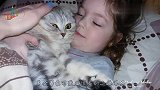 家里养了只猫咪以后,哄小萌娃睡觉再也不是问题了