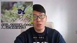 俗话说宅子现四喜，家中出能人，这四喜分别指的是什么？