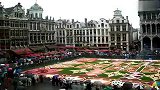 雨中依旧群芳争艳 比利时布鲁塞尔鲜花地毯