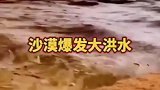 哇哇哇，沙漠瀑发大洪水